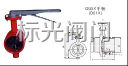 D81Xֱṹͼ